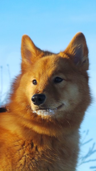 20160228_120254.JPG