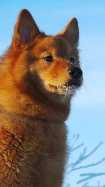 20160228_120257.JPG