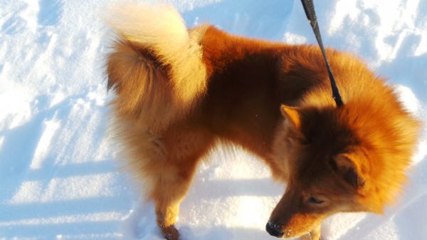 20160228_122120.JPG