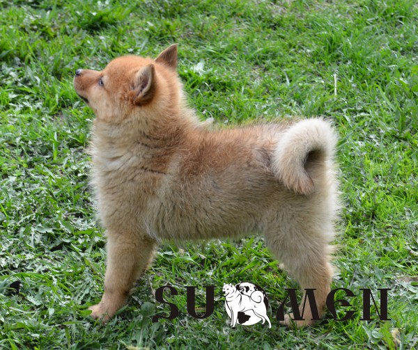 DSC_1981s.jpg