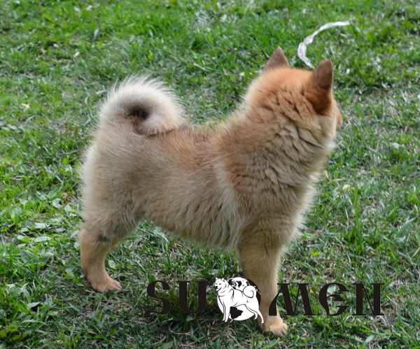 DSC_1992s.jpg