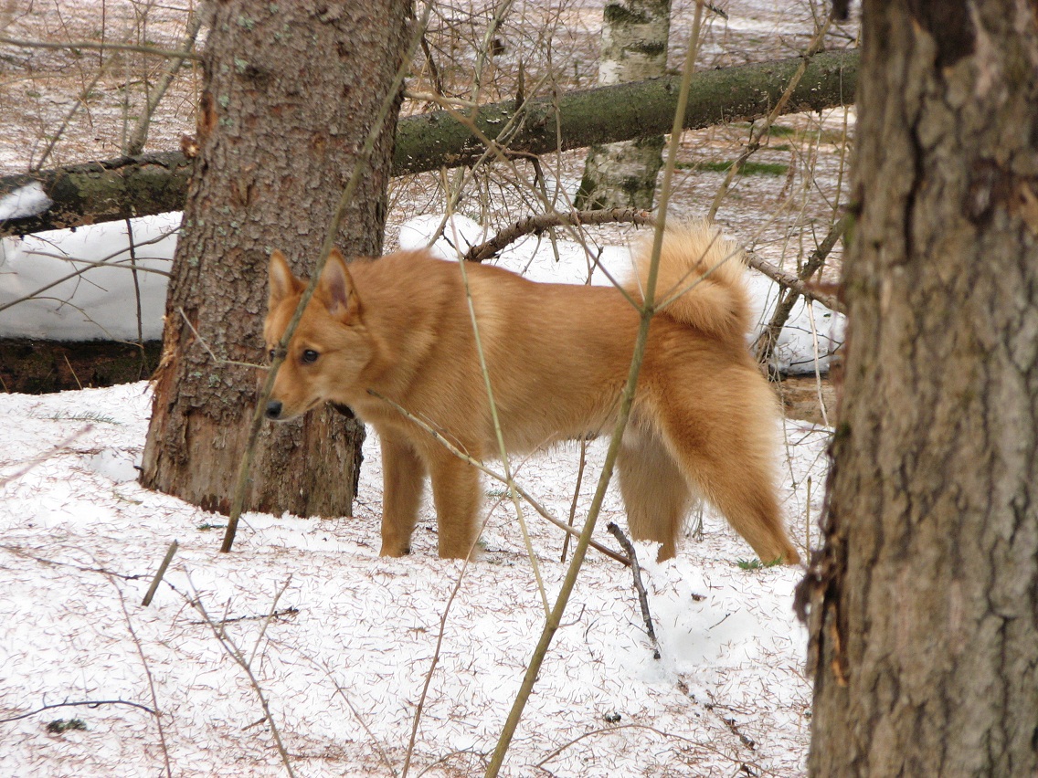 IMG_2755.JPG