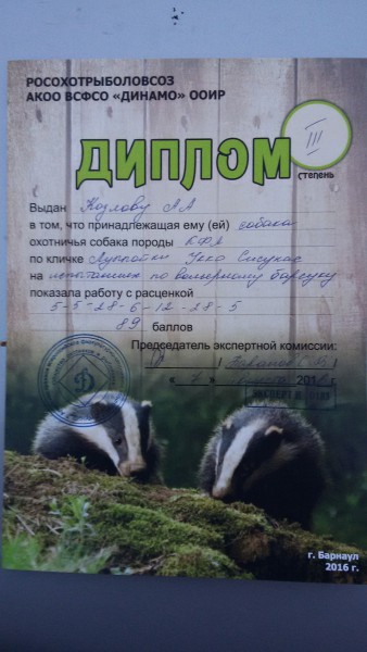 Фин барсук.jpg