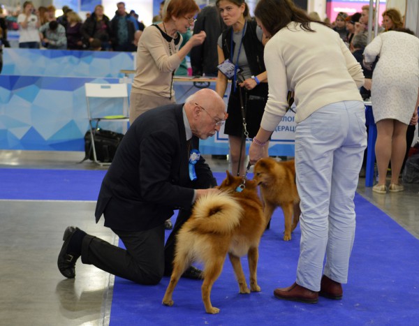 DSC_3267_forum.jpg