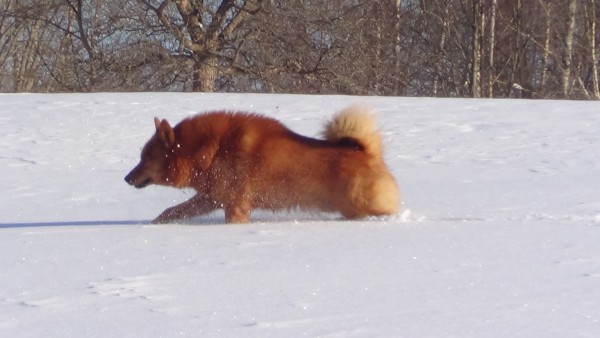 DSC07535.JPG