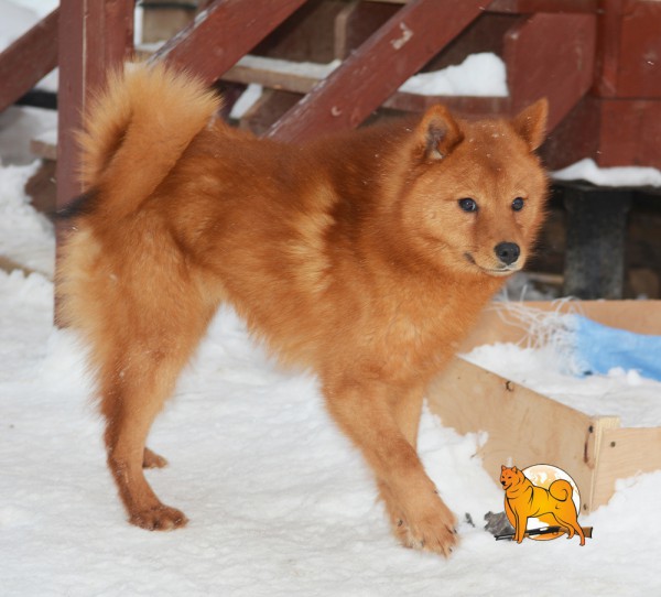 DSC_7333_s.jpg