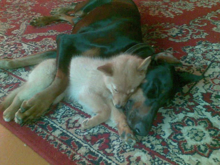 27042011_020.jpg
