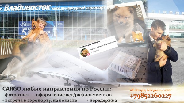 cargo_russia.jpg
