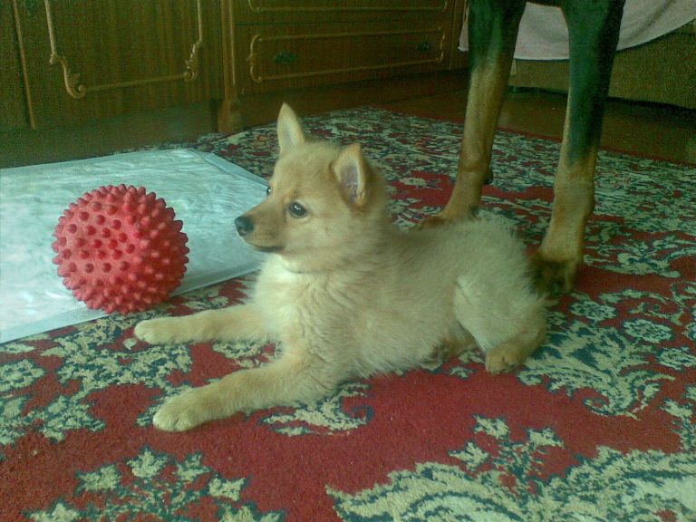 16042011_004.jpg