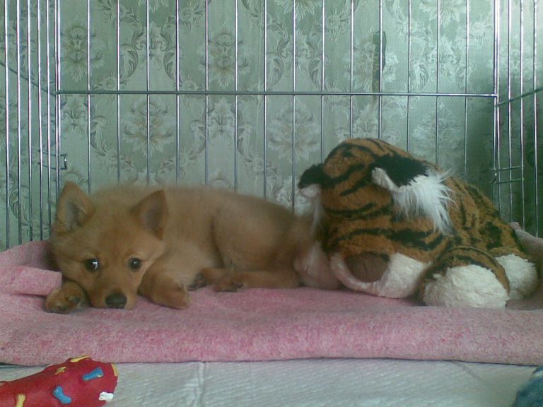 16042011_046.jpg