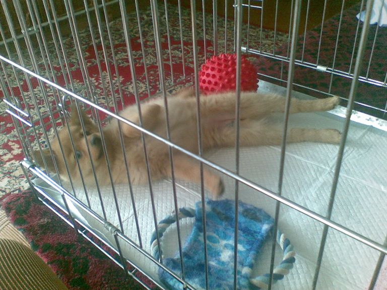 16042011_038.jpg