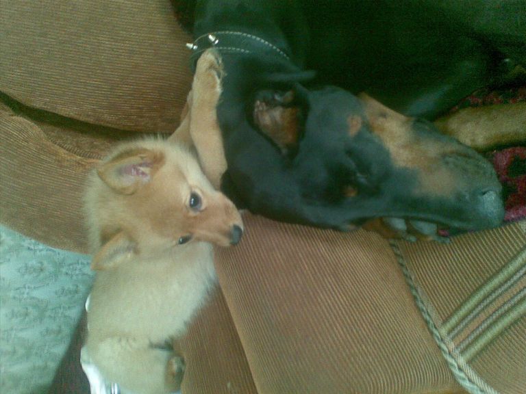 23042011_006.jpg