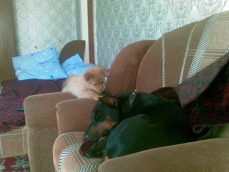 23042011_003.jpg