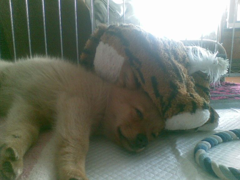 23042011_053.jpg