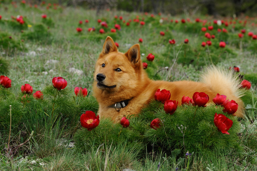 DSC_2111.jpg
