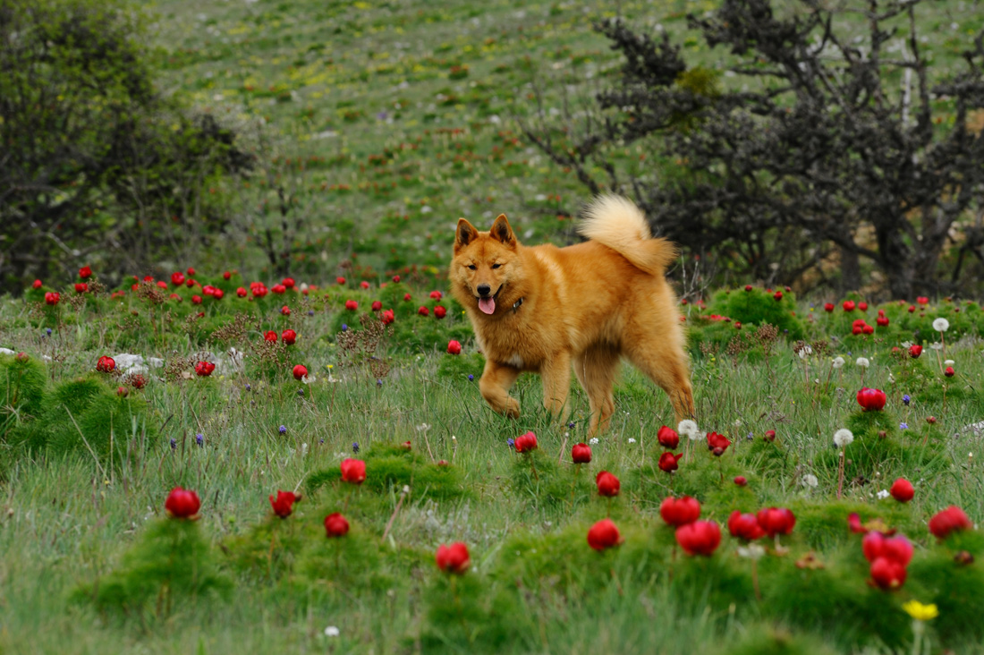 DSC_2065.jpg