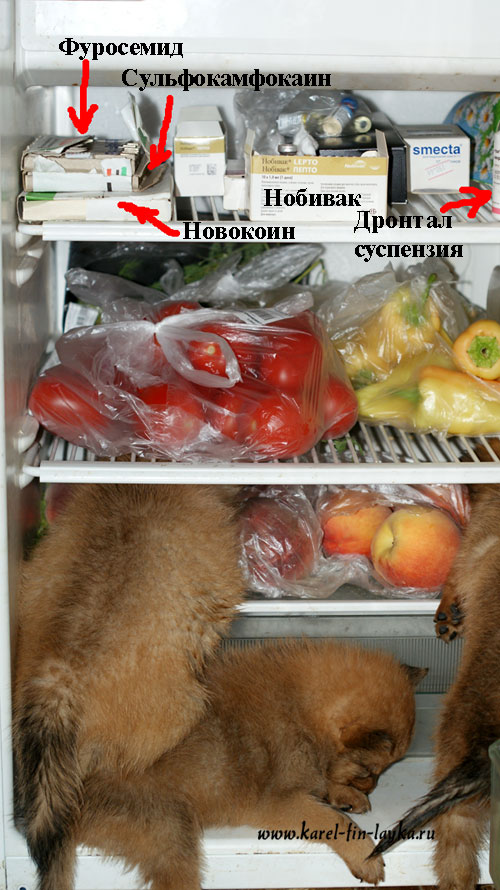 refregarator2.jpg