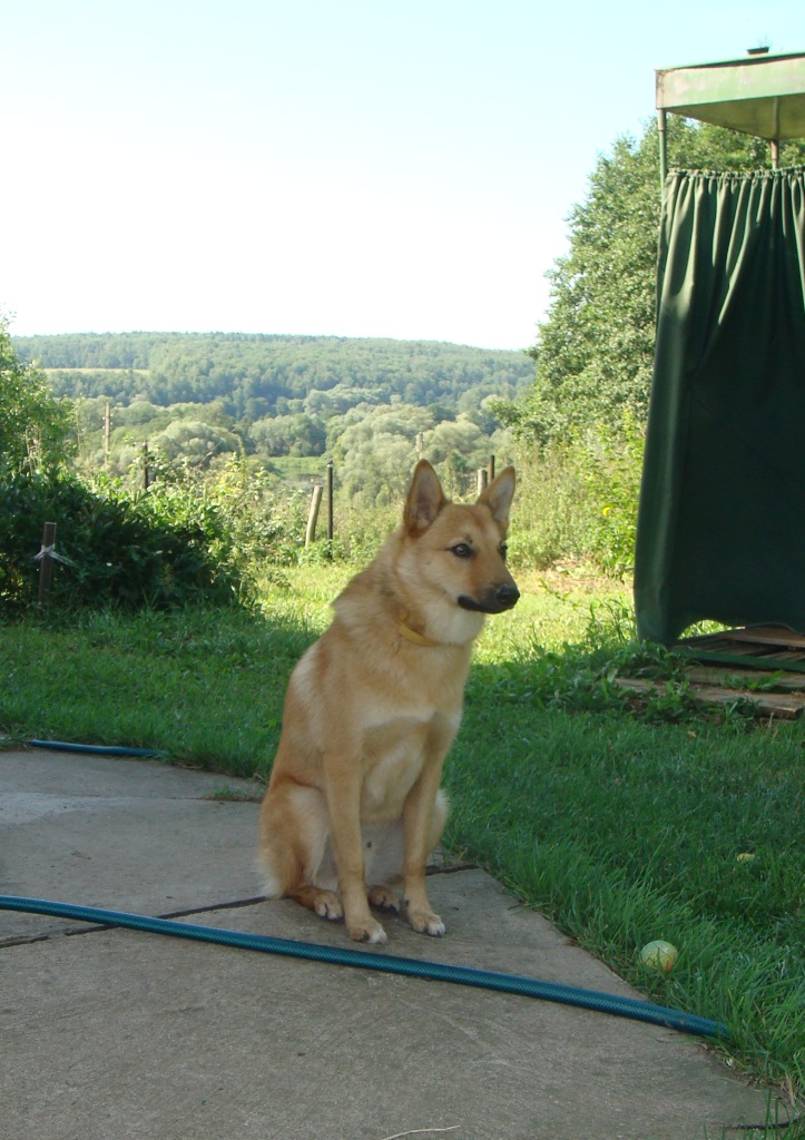 DSC00781.JPG