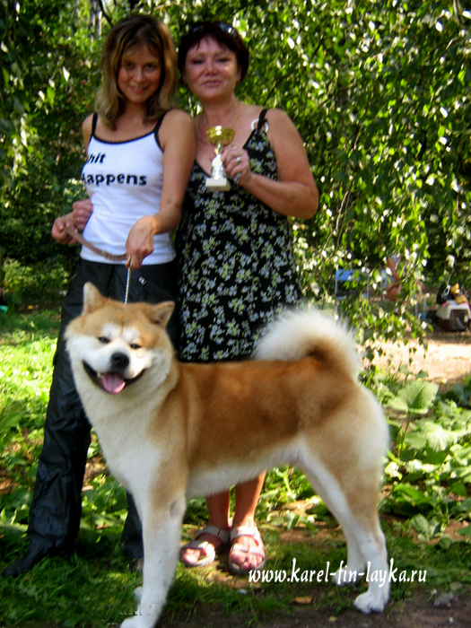 akita3.jpg